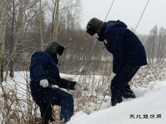 国网松岭供电公司：践行二十大精神 “一切为民”服务葆初心