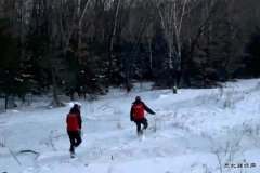 抚远市供电公司：巡线保供电 守护万家灯火