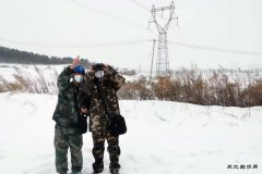 佳木斯供电公司：线路特巡不放松 春节保电在行动