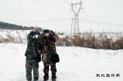 佳木斯供电公司：春节供电不“打烊”极寒天气保光明