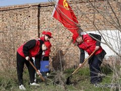 春风十里，“植”此青绿——淮北矿业双龙公司团委开展义务植树活