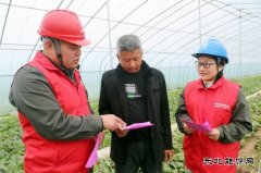 国网太康县供电公司：服务进大棚  电力惠民生