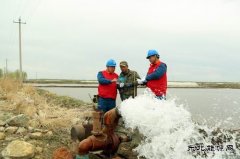 国网佳木斯供电公司：电力先行，服务春灌春耕“电力十足”