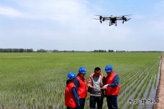 兴凯湖供电公司：“满格电力”赋能600万亩稻田