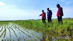 国网黑龙江九三供电公司：助力乡村经济发展