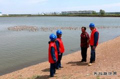 兴凯湖供电公司：贴心服务助力垦区特色养殖业蓬勃发展