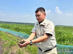大唐辽宁新完美体育事业部：乡村要振兴产业必先行