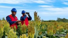 国网九三供电公司：助力乡村旅游业发展