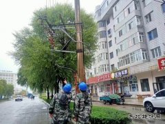 国网牡丹江东宁市供电公司：履职尽责保供电  彰显央企担当
