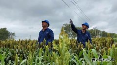 国网九三供电公司：“汛”速行动防台风