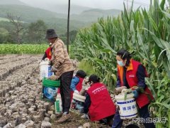 国网牡丹江东宁市供电公司：守望相助 同心重建