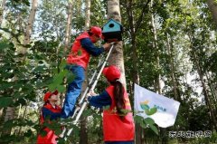兴凯湖供电公司：首个生态日 为鸟建新居