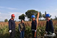 岱：畔高粱红 凉城县喜迎丰收年