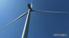 为祖国之壮美增添一抹“完美体育绿”