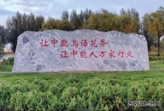 陕西中能煤田有限公司：秋意中能，倾国倾城