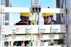 国网黑龙江水电总厂：特巡“把脉”设备 确保安全运行