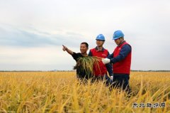 国网佳木斯供电公司：护航秋收 “电”靓“丰”景