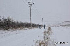 国网巴林左旗供电公司：雪后巡线保障供电安全