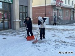 青河执法大队积极开展清雪除冰志愿服务活动