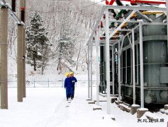 黑龙江水电总厂：寒潮来袭 特巡特护保供电