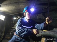 王虎雄：在平凡中坚守，用汗水浇灌收获