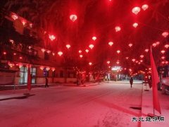 摄影作品：春雪闹新春