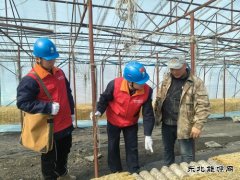 国网牡丹江东宁市供电公司：撑起“安全伞”助力企业“开门红”