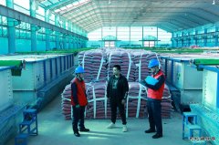 兴凯湖供电公司：党员带头助春耕 不负春光不负农