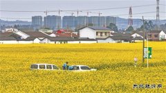 四川销售服务春耕“油”力量