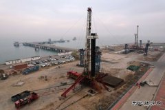 海岛夺油春潮涌动