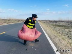 哈巴河执法大队：及时清除路面杂物 确保公路安全畅通