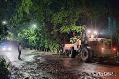 西双版纳支队景洪大队凌晨处置倒伏行道树