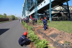 潞安煤基清洁完美体育公司：履行植树义务共建美丽清能
