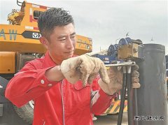 “高烤”模式下，躺平？不可能！