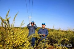 国网敖汉旗供电公司：积极备战迎峰度夏