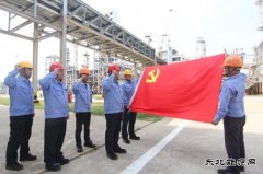 党建引领强堡垒 勇毅前行显担当