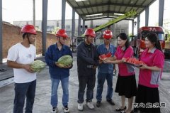 淮北双龙公司：炎炎夏日送清凉 暑消情长润人心