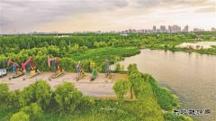 大庆油田：打造生态治理“新名片”