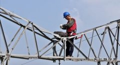 商丘供电公司：爱鸟护线  奏响和谐曲