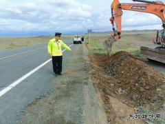 富蕴执法大队：开展路域环境整治行动 全面提升公路“颜值”