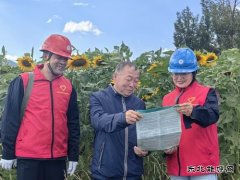 凉城供电公司：电力足向阳花盛开