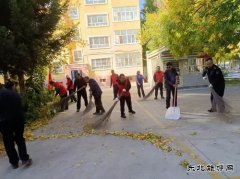 阿勒泰执法支队哈巴河执法大队：党员志愿服务在行动