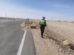 哈巴河执法大队：清除路面杂物，及时化险为夷