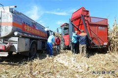 守护金秋“油”保障