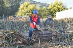 国网巴林左旗供电公司：“满格电”助力小笤帚大产业