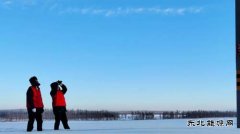 国网九三供电公司：特巡特护守安全 保供“佳节”