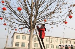 山西潞安焦化有限责任公司美化亮化迎新春