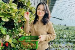  大唐锦州热电分公司：春日芳华 向“莓”好出发