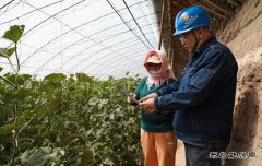 国网阿鲁科尔沁旗供电公司：不误农时不负春 电力服务助农户