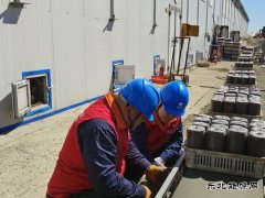 国网牡丹江东宁市供电公司：菌业“电保姆”供电护航助发展